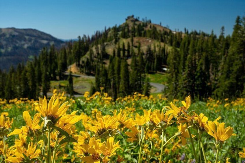 Self Guided Driving Audio Tour of Lassen Volcanic National Park