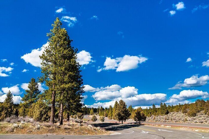 Self Guided Driving Audio Tour of Lassen Volcanic National Park