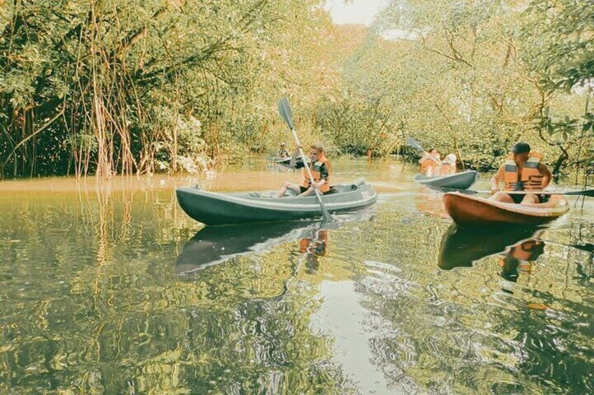 Bali Mangrove Forest Canoeing, Uluwatu Temple and Kecak Dance