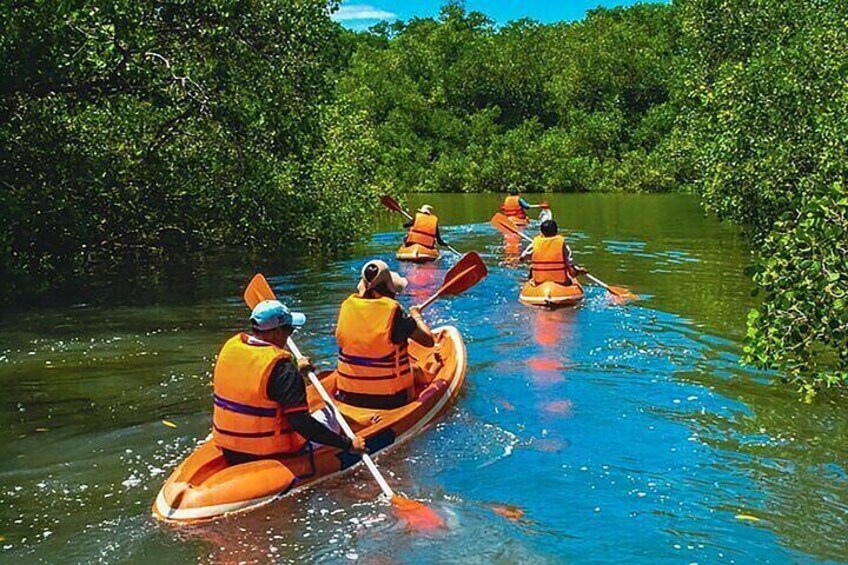 Bali Mangrove Forest Canoeing, Uluwatu Temple and Kecak Dance