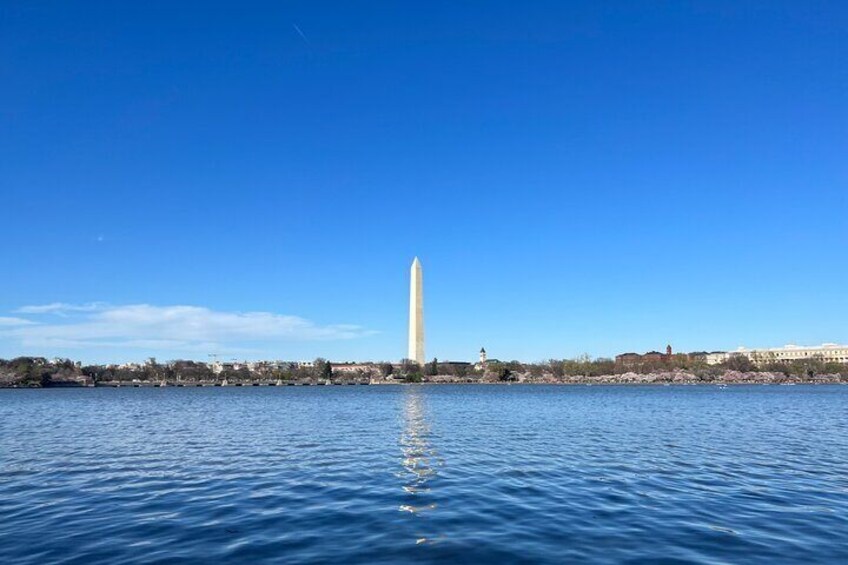 Walk Around the Tidal Basin Guided Tours or Self Tour