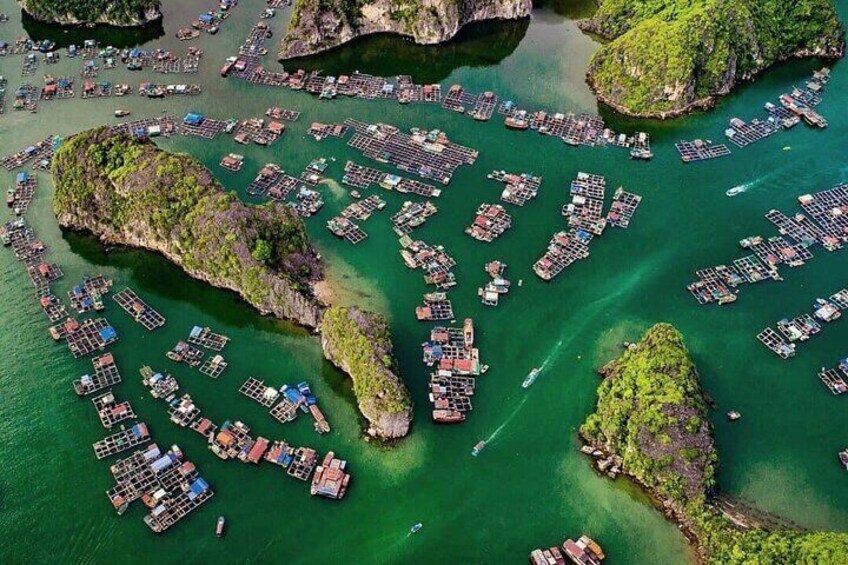 D'Charme Day Cruise Explore the Breathtaking Views of Lan Ha Bay