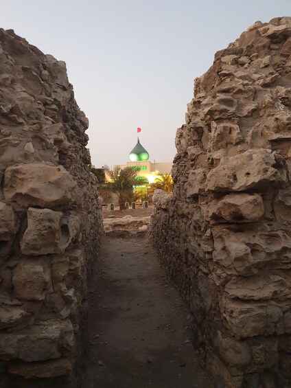Picture 4 for Activity Bahrain Half Day Desert Tour