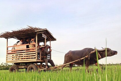 Pu Luong: 3-Day Adventure with Trekking, Cycling & Cooking Class