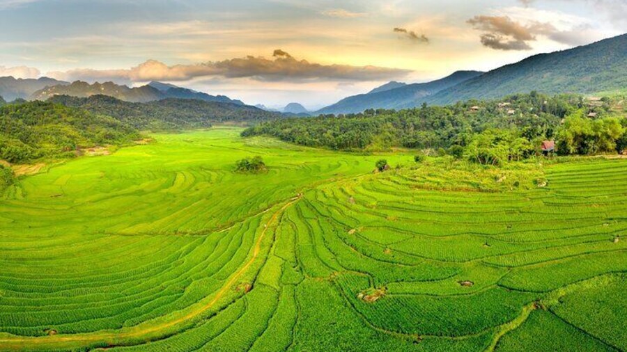 Pu Luong: 3-Day Adventure with Trekking, Cycling & Cooking Class
