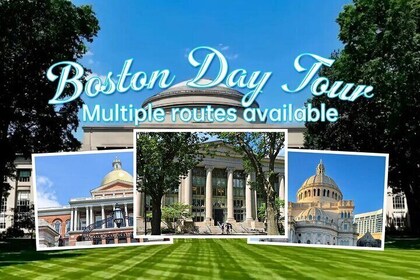 波士頓私人觀光遊覽 與每日司機