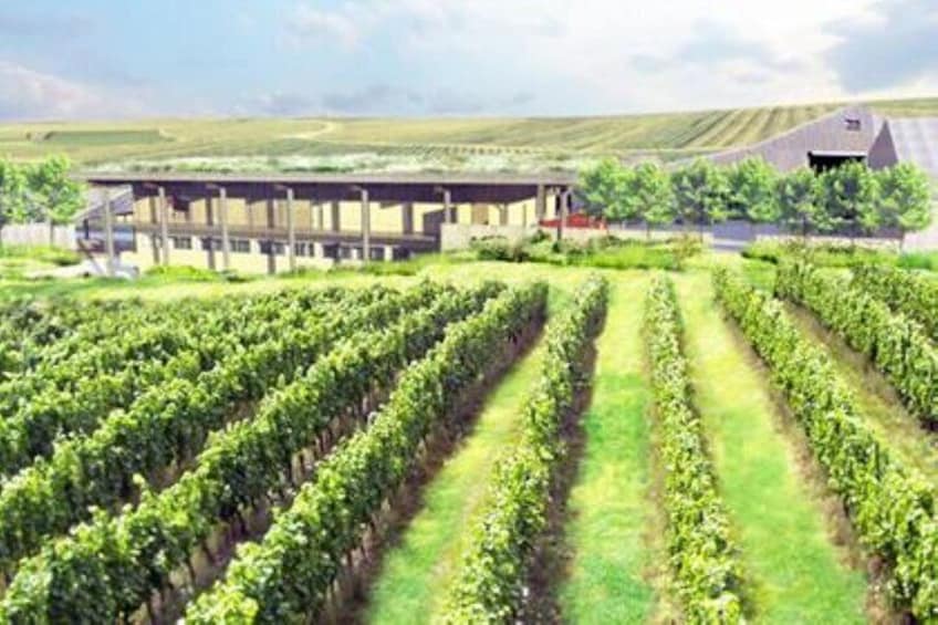 English Wine & Seven Sisters Tour