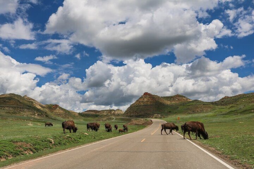 Theodore Roosevelt National Park Audio Tour Guide