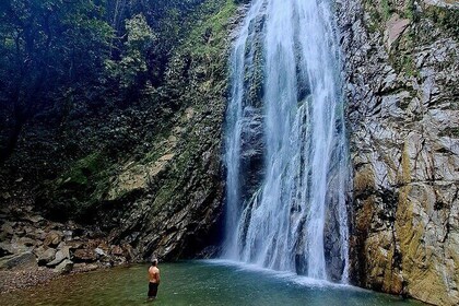 Swim Under the Waterfall and Hike the Jungle Trip from Medellín