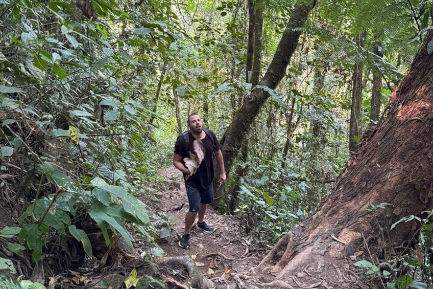 Swim Under the Waterfall and Hike the Jungle Trip from Medellín