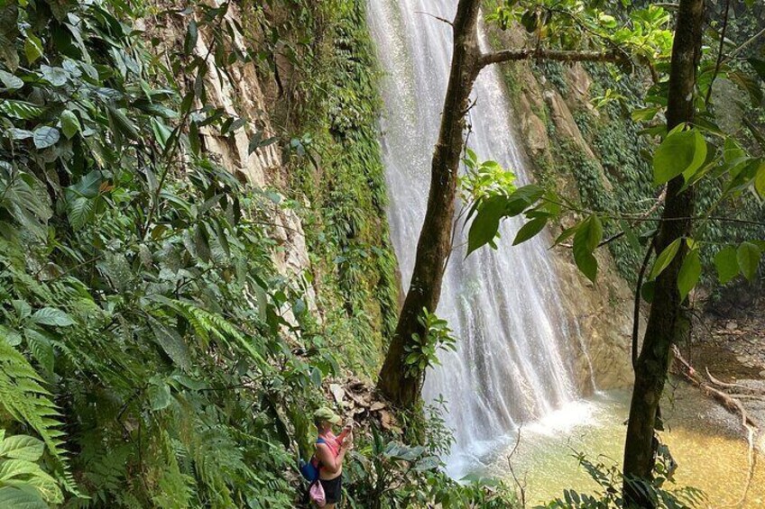 Swim Under the Waterfall and Hike the Jungle Trip from Medellín