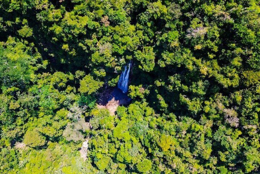 Swim Under the Waterfall and Hike the Jungle Trip from Medellín