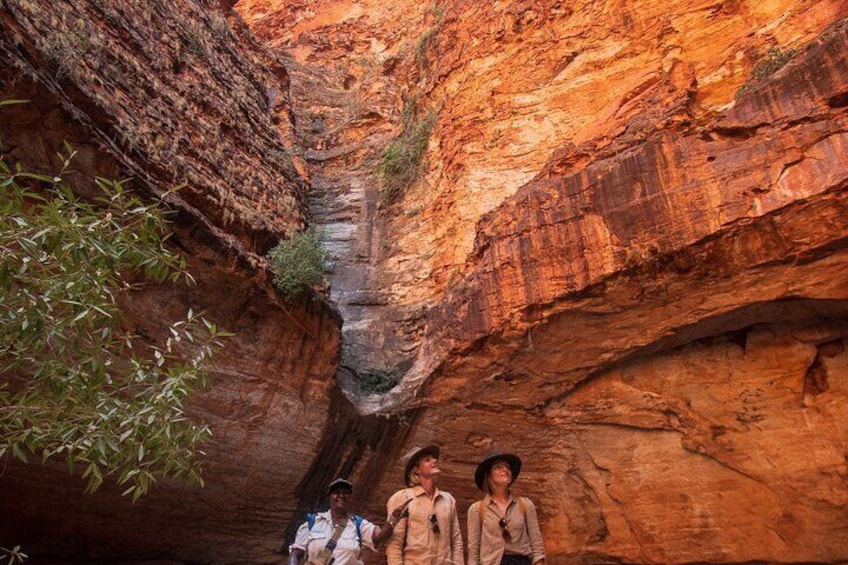Cathedral gorge with guests
