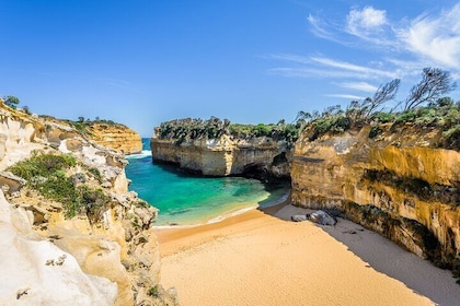 Private Reverse Great Ocean Road Tour