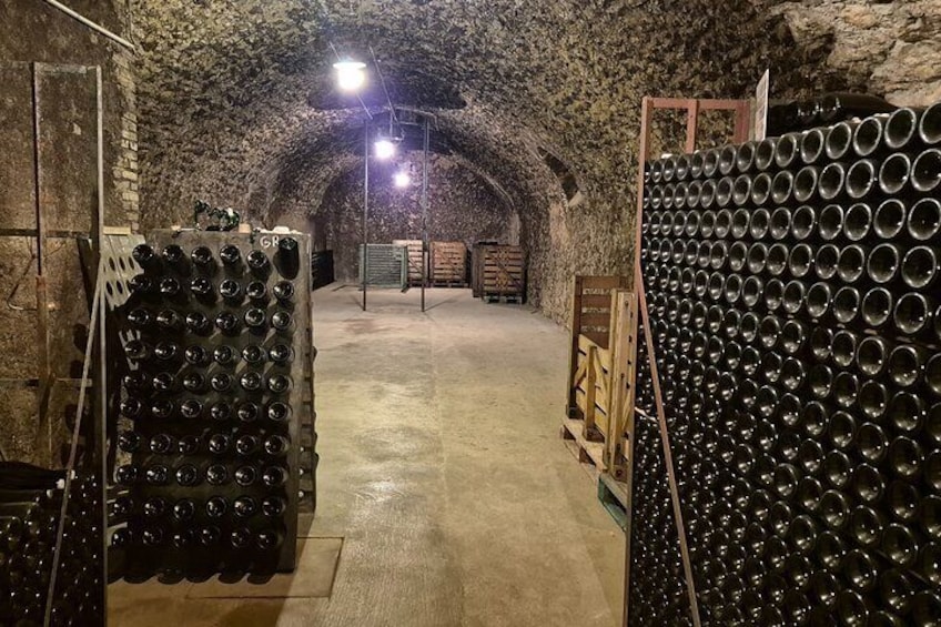 From Paris a Full Day Private Champagne tour with local Tasting