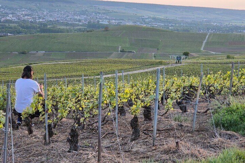 From Paris a Full Day Private Champagne tour with local Tasting