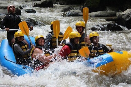 Bali White Water Rafting Adventure