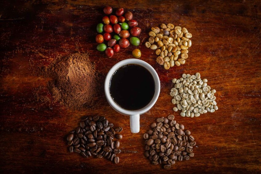 Picture 2 for Activity Don Juan Arenal: Coffee and Chocolate Tour