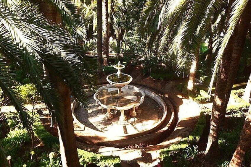 Courtyard of the Palm trees