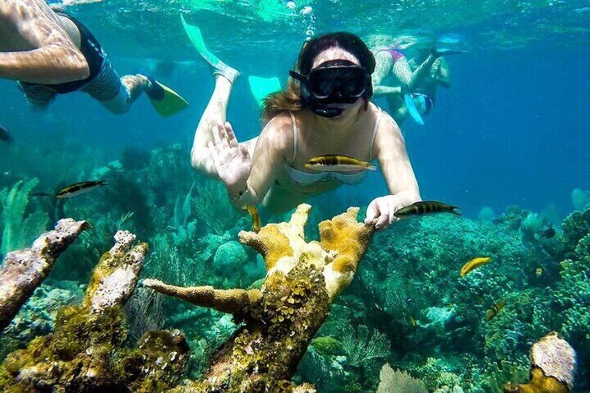 Full Day by the islands of the Rosary Cartagena