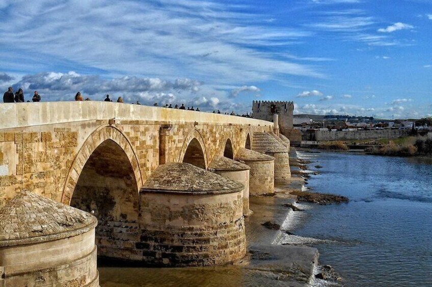 Cordoba Historical Center Guided Tour from Seville