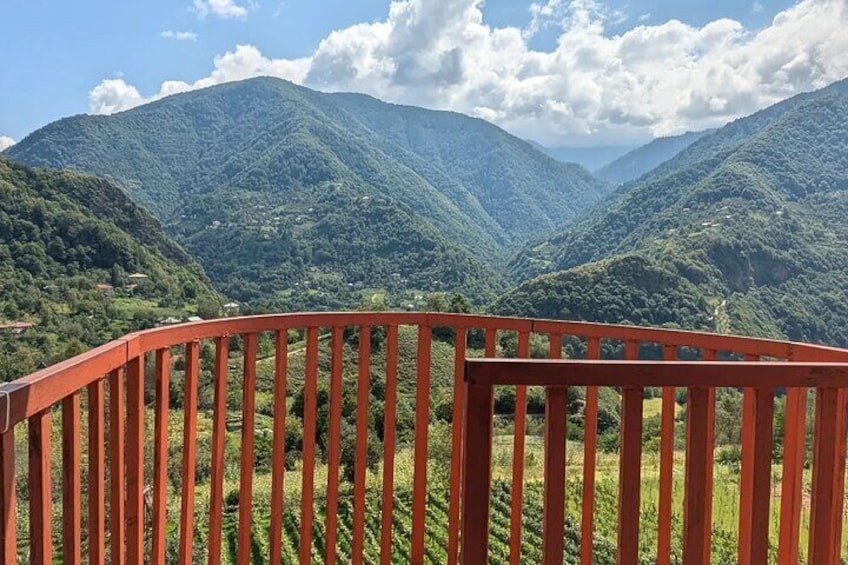 Wine and Dine Tour To Batumi Waterfalls - Mountainous Adjara