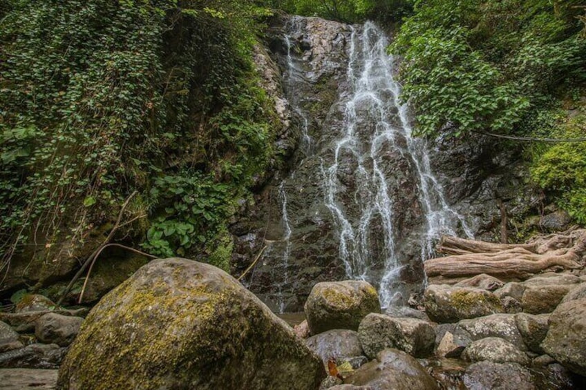 Wine and Dine Tour To Batumi Waterfalls - Mountainous Adjara