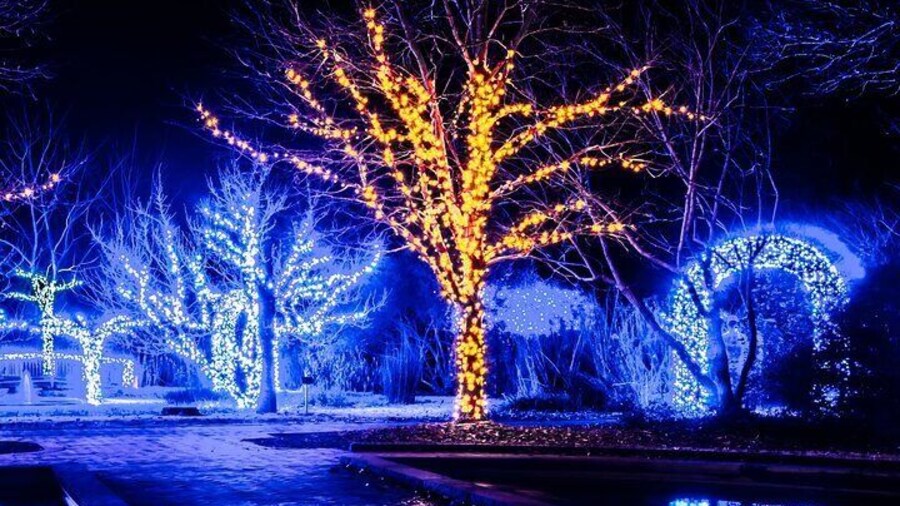 Franklin’s Festive Lights Spectacular A Christmas Wonderland Tour