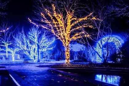 Franklin’s Festive Lights Spectacular A Christmas Wonderland Tour