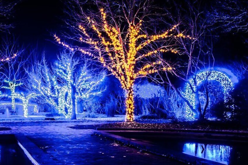 Franklin’s Festive Lights Spectacular A Christmas Wonderland Tour