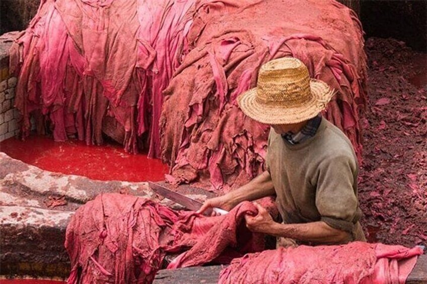 unique experience of Fez 