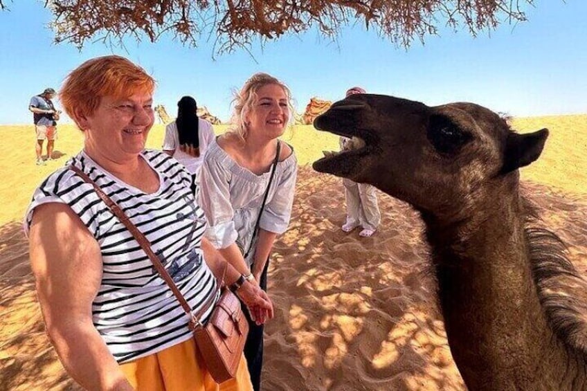 Agadir Desert Tour with Lunch