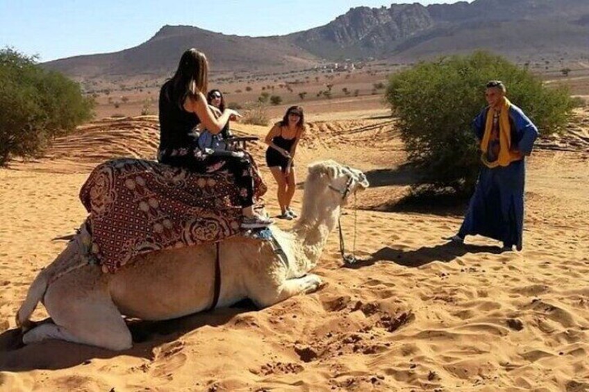 Agadir Desert Tour with Lunch