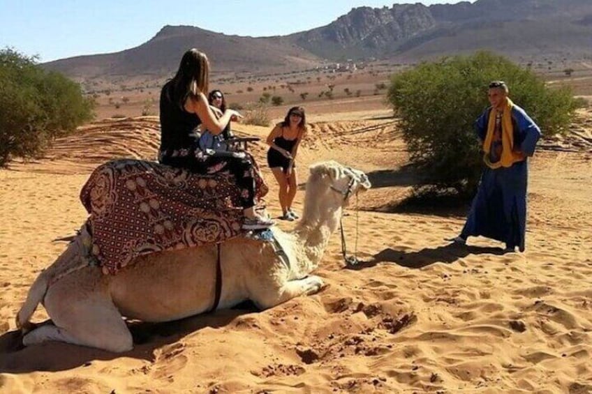 Agadir Desert Tour with Lunch