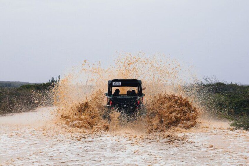 UTV Buggy Expedition in West Coast