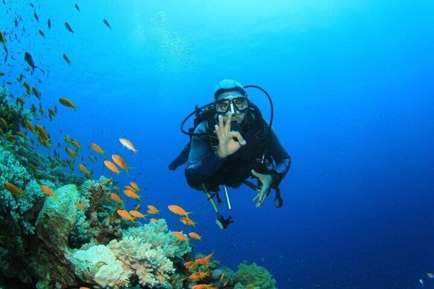 Tiran Island Cruise Experience with Intro Dive in Sharm El Sheikh