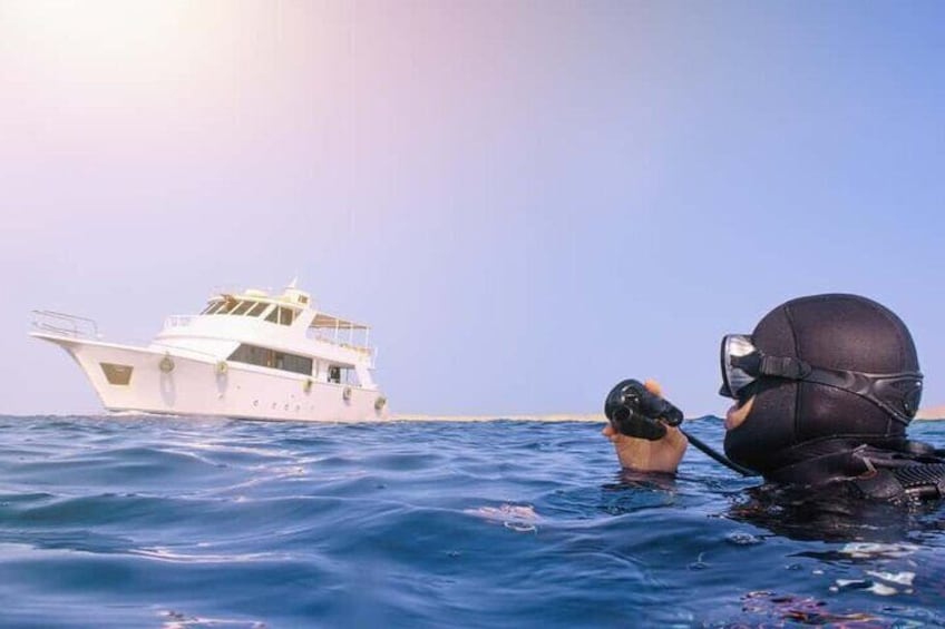 Tiran Island Cruise Experience with Intro Dive in Sharm El Sheikh