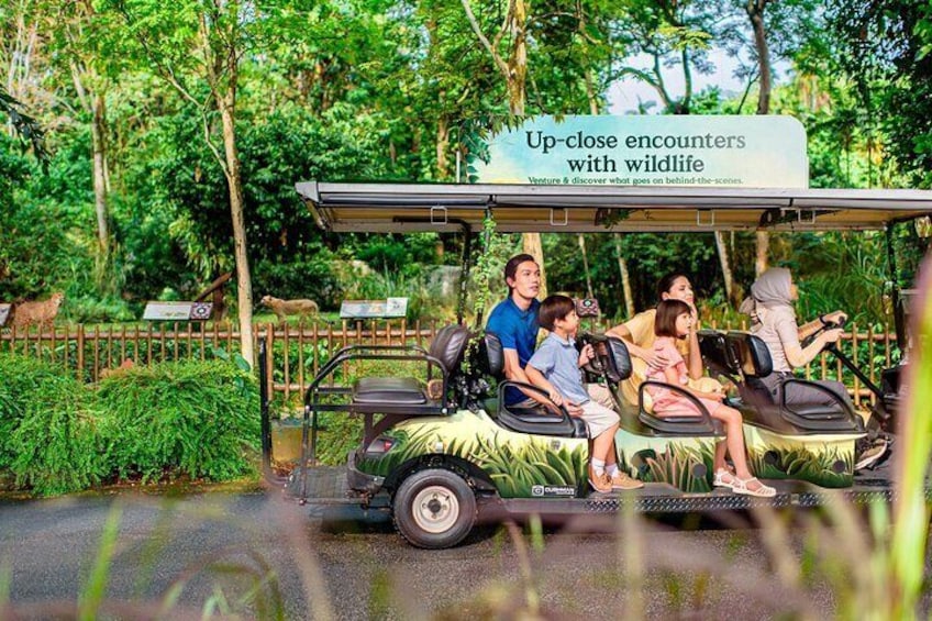 Singapore Mandai Wildlife Entry Ticket with Tram Ride