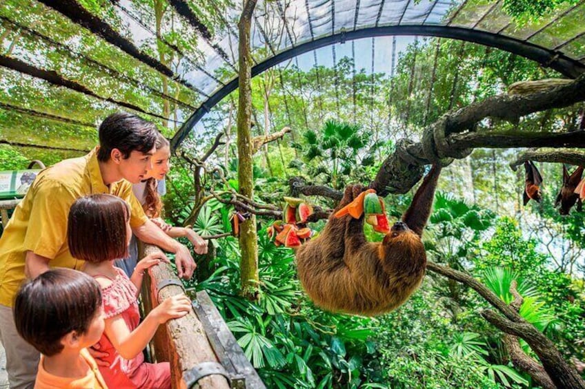 Singapore Mandai Wildlife Entry Ticket with Tram Ride