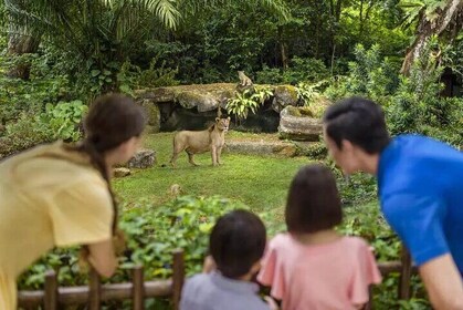 Singapore Zoo Ticket with Tram Ride