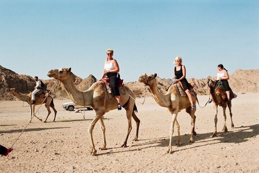 Bedouin night with VIP dinner & Bedouin Show Private transfer - Hurghada