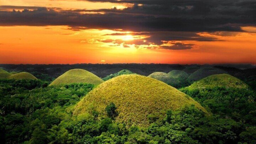 Bohol Day Tour from Cebu