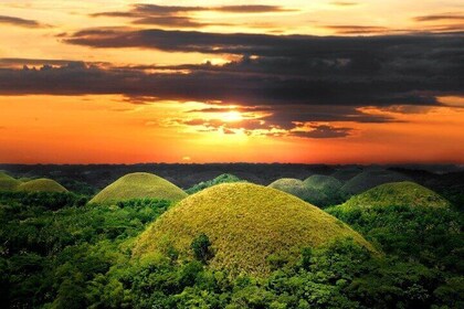 Bohol Day Tour from Cebu (Shared) w/ RT Transfers & Ferry