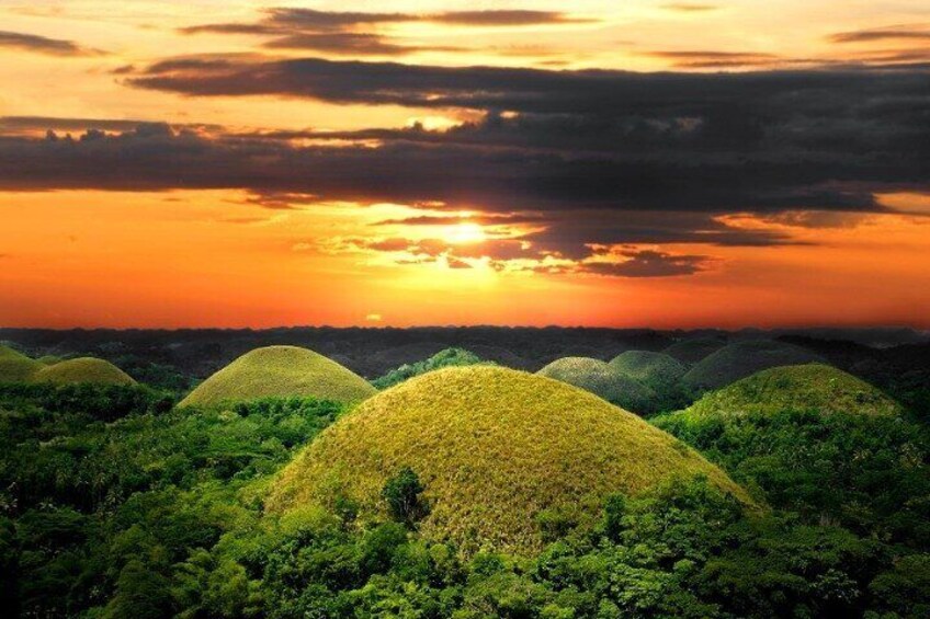 Bohol Day Tour from Cebu (Shared) w/ RT Transfers & Ferry