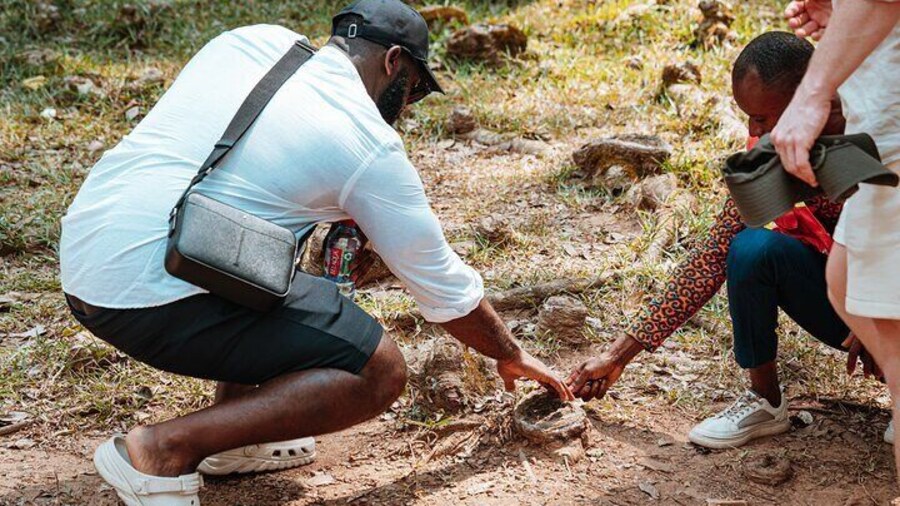 Explore Aburi Botanical Gardens And Boti Falls