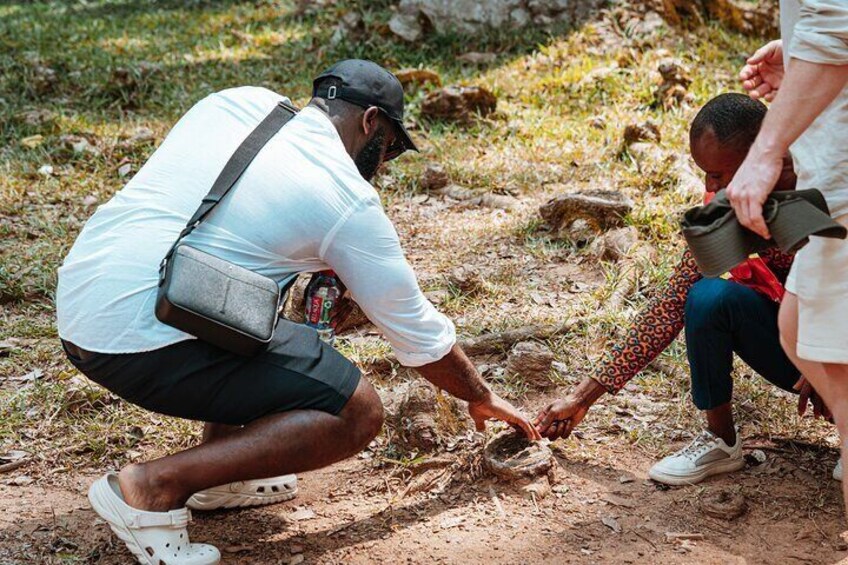 Explore Aburi Botanical Gardens And Boti Falls