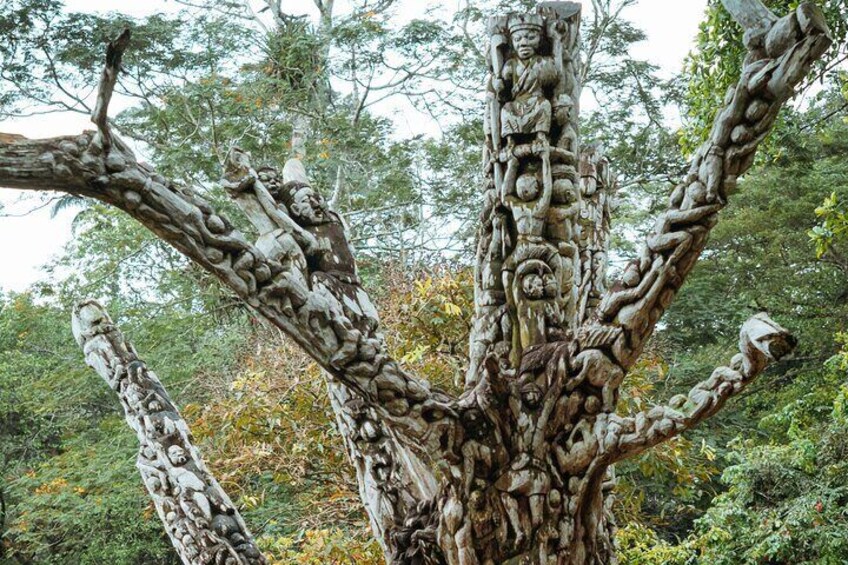 Explore Aburi Botanical Gardens And Boti Falls