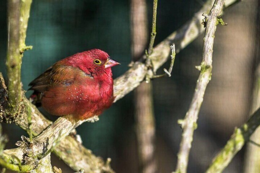 Private Dunedin&Peninsula Scenery and Wildlife Day Tour Sharing