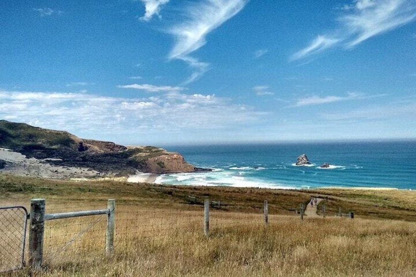 Sandfly Beach 