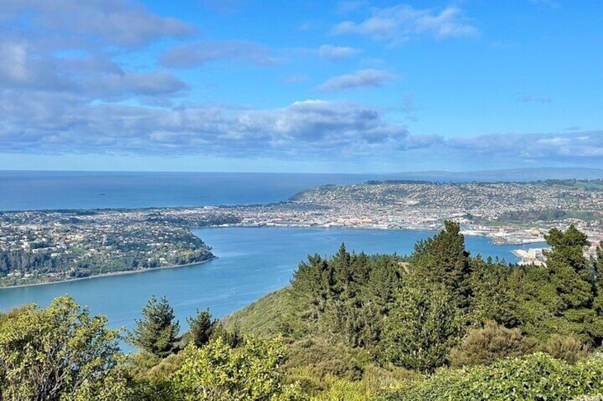 Signal Hill Lookout